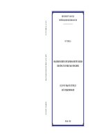 Luận văn thạc sĩ hoạch Định chiến lược kinh doanh tới năm 2020 cho công ty cổ phần may sông hồng