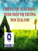 Tiểu luận - quản trị chiến lược - đề tài -  Phương thức thâm nhập thị trường của Vinamilk
