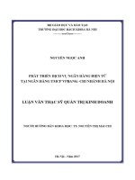 Luận văn thạc sĩ phát triển dịch vụ ngân hàng Điện tử tại ngân hàng tmcp vpbank chi nhánh hà nội