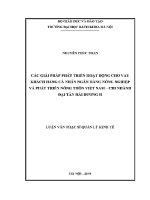 Luận văn thạc sĩ các giải pháp phát triển hoạt Động cho vay khách hàng cá nhân ngân hàng nông nghiệp và phát triển nông thôn việt nam chi nhánh Đại tân hải dương ii
