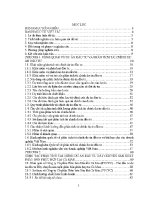 Luận văn thạc sĩ một số Đề xuất hoàn thiện phân tích tài chính dự Án Đầu tư dây chuyền sản xuất phân bón phức hợp tại cà mau