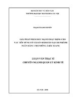 Luận văn thạc sĩ giải pháp nhằm Đẩy mạnh hoạt Động cho vay tiêu dùng có tài sản Đảm bảo tại chi nhánh ngân hàng tmcp Đông Á bắc giang