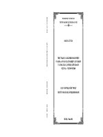Luận văn thạc sĩ thực trạng và giải pháp hoàn thiện văn hóa an toàn tại xí nghiệp vận tải biển và công tác lặn thuộc liên doanh việt nga vietsopetro