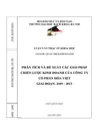 Luận văn thạc sĩ phân tích và Đề xuất giải pháp chiến lược kinh doanh của công ty cổ phần hòa việt giai Đoạn 2009 2015
