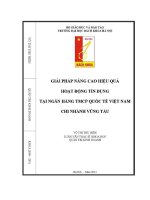 Luận văn thạc sĩ giải pháp nâng cao hiệu quả hoạt Động tín dụng tại ngân hàng thương mại cổ phần quốc tế việt nam chi nhánh vũng tàu