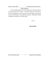 Luận văn thạc sĩ giải pháp tăng cường khả năng thu hút vốn Đầu tư xây dựng vào khu công nghiệp cụm công nghiệp trên Địa bàn tỉnh nam Định