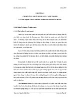 Luận văn thạc sĩ nghiên cứu Ảnh hưởng của cntt tới việc nâng cao năng lực cạnh tranh của ngân hàng indovina