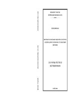 Luận văn thạc sĩ một số giải pháp nhằm hoàn thiện công tác phân tích tài chính tại công ty cổ phần Đầu tư và phát triển miền trung