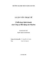 Luận văn thạc sĩ chiến lược kinh doanh của công ty bất Động sản skyline