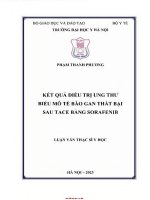 Kết quả Điều trị ung thư biểu mô tế bào gan thất bại sau tace bằng sorafeinb