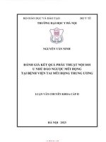 Đánh Giá Kết Quả Phẫu Thuật Nội Soi U Nhú Đảo Ngược Mũi Xoang Tại Bệnh Viện Tmh Tư.pdf