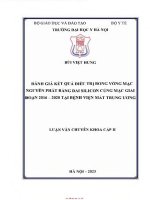 Đánh Giá Kết Quả Điều Trị Bong Võng Mạc Nguyên Phát Bằng Đai Silicon Củng Mạc Giai Đoạn 2016-2020 Tại Bv Mắt Tư.pdf