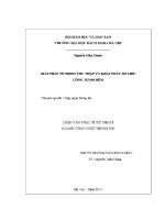 Luận văn thuật toán song song giải các bài toán có mô hình toán học dưới dạng các hệ phương trình vi phân từng phần pdesvà sử dụng cuda