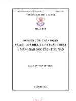 Nghiên cứu chẩn Đoán và kết quả Điều trị vi phẫu thuật u màng não góc cầu tiểu não