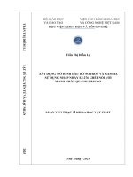 Xây dựng mô hình đầu dò nơtron và gamma sử dụng nhấp nháy EJ-276 ghép nối với mảng nhân quang silicon