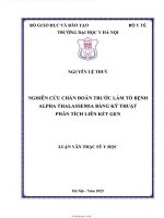 Nghiên cứu chẩn Đoán trước làm tổ bệnh alpha thalassemia bằng kỹ thuật phân tích liên kết gen