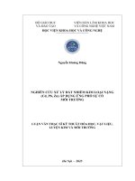 Nghiên cứu xử lý đất nhiễm kim loại nặng (Cd, Pb, Zn) áp dụng ứng phó sự cố môi trường