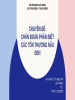 Chuyên Đề chẩn Đoán phân biệt các tổn thương nâu Đen