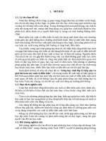 Skkn cấp tỉnh giúp học sinh lớp 12 tiếp cận và giải bài toán xác suất có Điều kiện