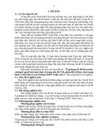 Skkn cấp tỉnh Ứng dụng ai Để hỗ trợ học sinh giải quyết bài toán thực tế trong chủ Đề tích phân Đối với học sinh trung bình và khá lớp 12 tại trường thpt triệu sơn 1