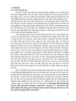 Skkn cấp tỉnh xây dựng hệ thống bài tập hoá học thực tiễn phần nitrogen và hợp chất – hoá học 11 – kết nối tri thức nhằm phát triển năng lực tìm hiểu thế giới tự nhiên dưới góc Độ hoá học cho học sinh tại trường thpt lam kinh