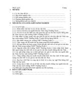Skkn cấp tỉnh một số biện pháp nâng cao Ý thức giữ gìn chữ viết và các giá trị văn hóa truyền thống của người dân tộc thái cho học sinh trường thpt thường xuân 2