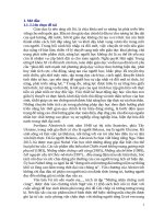 Skkn cấp tỉnh dạy học truyện kí và tôi vẫn muốn mẹ    của svetlana alexievich (ngữ văn 11, tập 2, bộ sách kết nối tri thức với cuộc sống) theo Định hướng phát triển năng lực học sinh