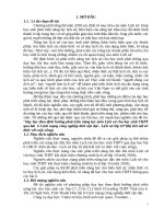 Skkn cấp tỉnh dạy học theo Định hướng phát triển năng lực môn lịch sử qua bài cách mạng công nghiệp thời cận Đại lịch sử 10