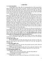 Skkn cấp tỉnh tìm hiểu kĩ thuật Điện di, cách Đọc kết quả Điện di, vận dụng giải một số dạng bài tập di truyền