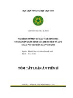Tóm tắt: Nghiên cứu một số đặc tính sinh học và khả năng gây bệnh của virus Dịch tả lợn châu Phi tại miền Bắc Việt Nam