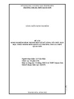 Skkn cấp tỉnh hình thành một số kỹ năng tổ chức dạy học theo nhóm môn khtn 6 Ở trường thcs &thpt quan sơn