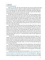 Skkn cấp tỉnh một số giải pháp nhằm phát triển năng lực tư duy phản biện cho học sinh trong dạy học bài cuộc cải cách của hồ quý ly và triều hồ (lịch sử 11 – bộ sách kntt&cs)