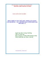 Skkn cấp tỉnh phát triển tư duy hóa học thông qua dạng câu hỏi Đúng  sai chương Đại cương kim loại hóa học