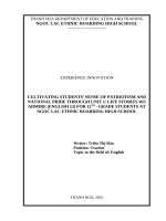 Skkn cấp tỉnh cultivating students’ sense of patriotism and national pride through unit 1 life stories we admire (english 12) for 12th grade students at ngoc lac ethnic boarding high school