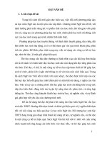 Skkn cấp tỉnh sử dụng thẻ Đọc Để phát triển năng lực Đọc hiểu ngữ văn cho học sinh bậc thpt hướng dẫn thực hành và Đánh giá hiệu quả