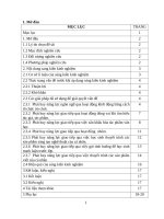 Skkn cấp tỉnh một số giải pháp nhằm phát huy năng lực giao tiếp của học sinh trong dạy học ngữ văn 11 Ở trường thcs&thpt bá thước