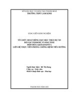 Skkn cấp tỉnh tổ chức hoạt Động dạy học theo dự Án bài saccharose và maltose liên hệ thực tiễn phòng chống bệnh tiểu Đường