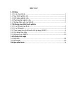 Skkn cấp tỉnh vận dụng Đạo hàm giúp hs lớp 12 giải quyết một số bài toán tối Ưu trong kinh tế