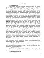 Skkn cấp tỉnh Áp dụng phương pháp Ánh xạ Để giải một số bài toán tổ hợp