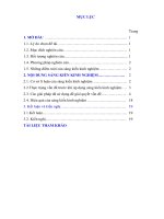 Skkn cấp tỉnh sử dụng tích phân tính diện tích, thể tích các hình và khối hình nhằm góp phần nâng cao năng lực vận dụng toán học giải quyết vấn Đề thực tiễn