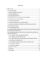 Skkn cấp tỉnh Định hướng năng lực chuyên biệt cho học sinh khi học phần Địa lí tự nhiên việt nam lớp 12