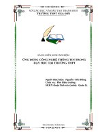 Skkn cấp tỉnh Ứng dụng công nghệ thông tin trong dạy học tại trường thpt