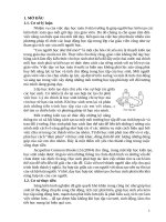 Skkn cấp tỉnh vận dụng phương pháp hợp tác trong dạy học một số khái niệm trong chương trình toán học thpt