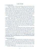 Skkn cấp tỉnh vận dụng giáo dục stem trong dạy học vật lí 10 Để hướng dẫn học sinh chế tạo một số Đồ chơi hấp dẫn từ các vật liệu tái chế