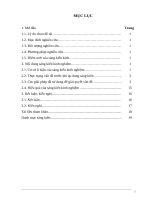 Skkn cấp tỉnh Ứng dụng hàm số Để giải quyết một số bài toán liên quan Đến thực tiễn nhằm phát triển năng lực cho học sinh