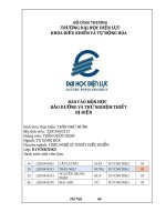 Báo cáo môn học bảo dưỡng và thử nghiệm thiết bị Điện