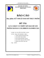 Lựa chọn và thiết kế bao bì sản phẩm mango coldbrew kombucha