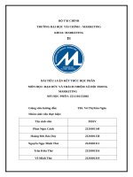 Bài tiều luận kết thúc học phần môn học Đạo Đức và trách nhiệm xã hội trong marketing