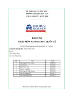Báo cáo nhập môn kinh doanh quốc tế chủ Đề doanh nghiệp kinh doanh quốc tế vin fast