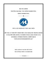 Lý thuyết tháp nhu cầu maslow trong hành vi người tiêu dùng và phân tích case study của knorr & tinder trong chiến dịch #unlockyourgreenflag